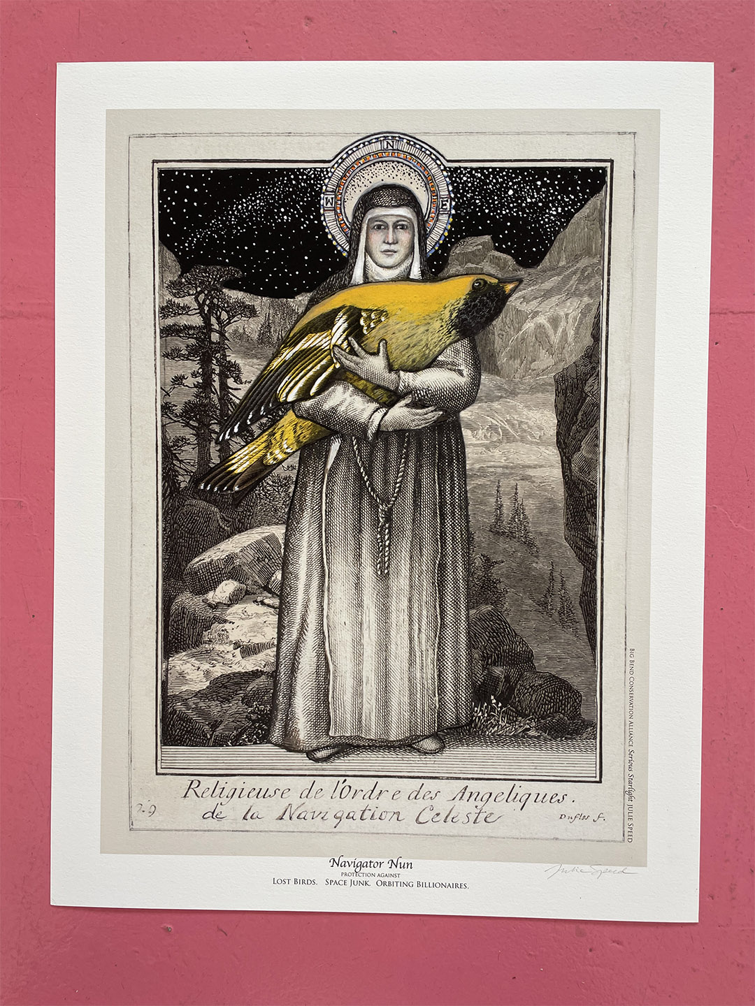 Julie Speed Navigator Nun