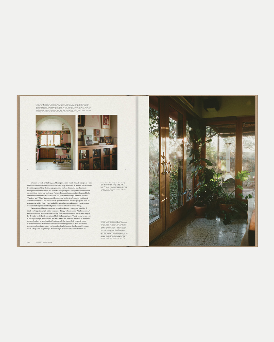 DESERT BY DESIGN by Molly Mandell and James Burke - Image 5