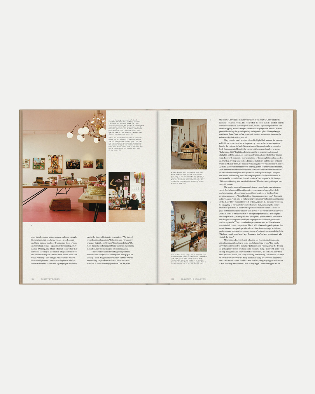 DESERT BY DESIGN by Molly Mandell and James Burke - Image 6