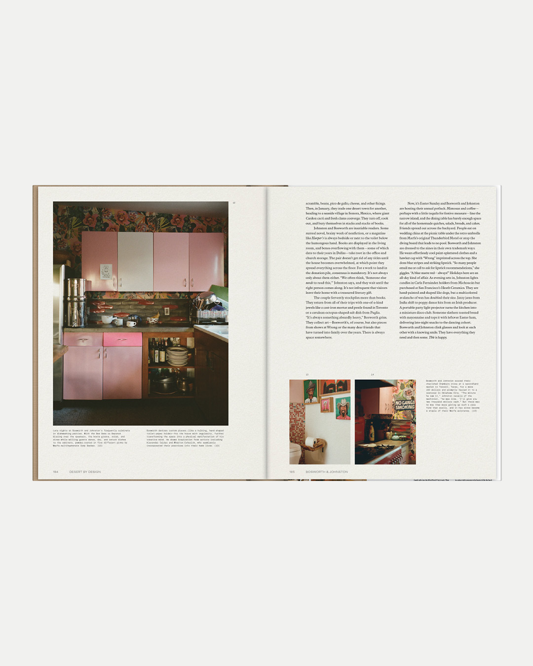 DESERT BY DESIGN by Molly Mandell and James Burke - Image 7